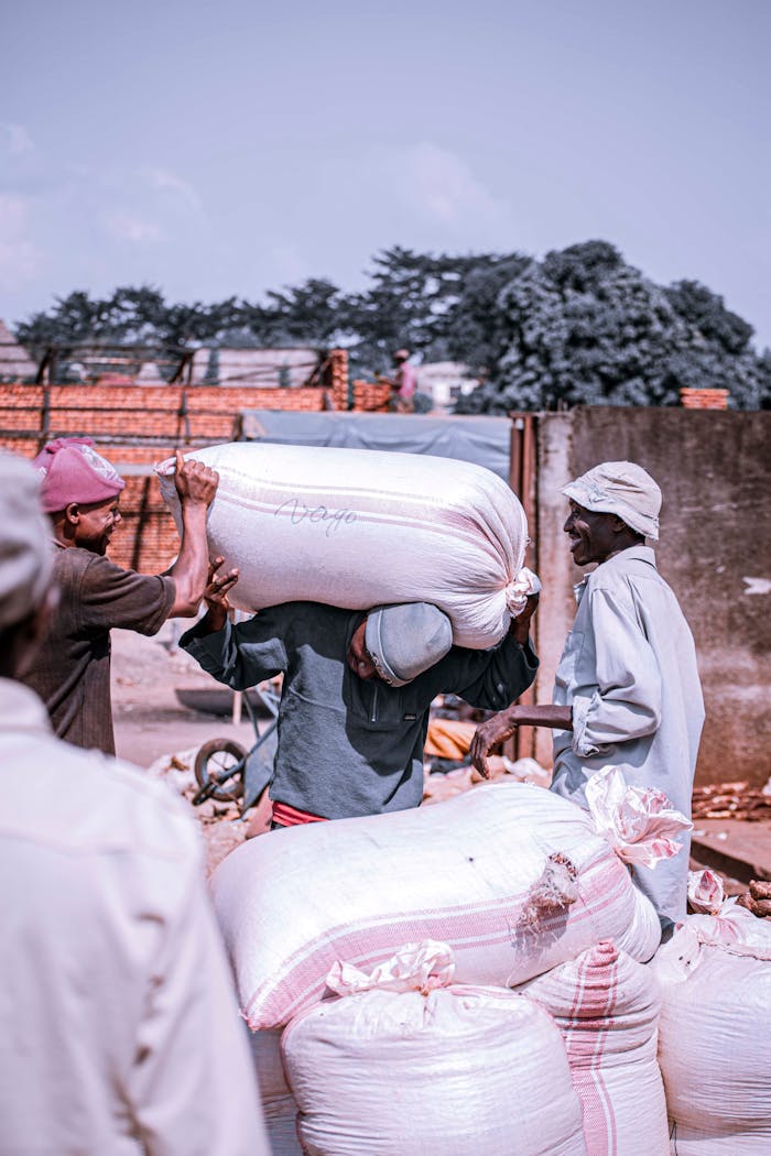 Men working together carrying large sacks outdoors on a sunny day.