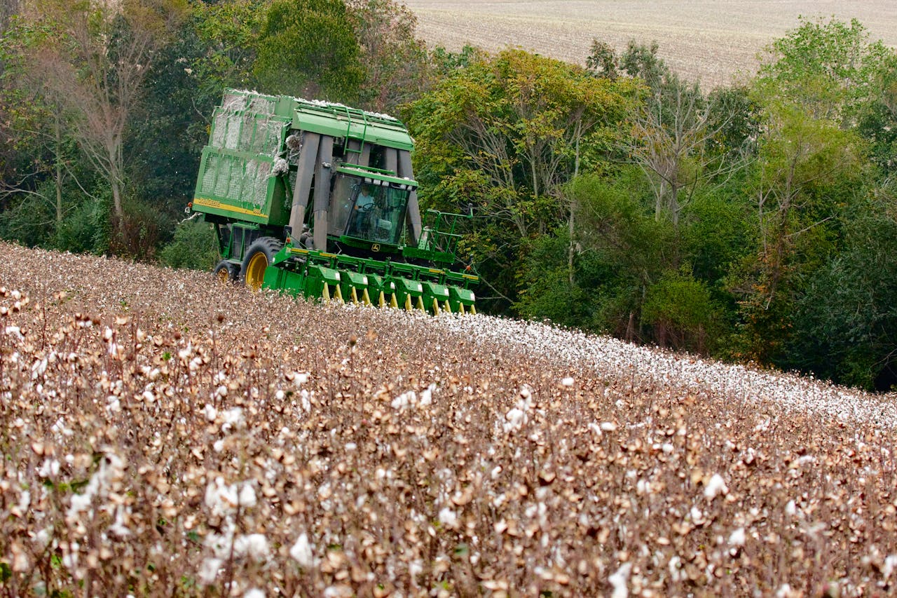 A green harvester working in a cotton field surrounded by trees in rural North Carolina.