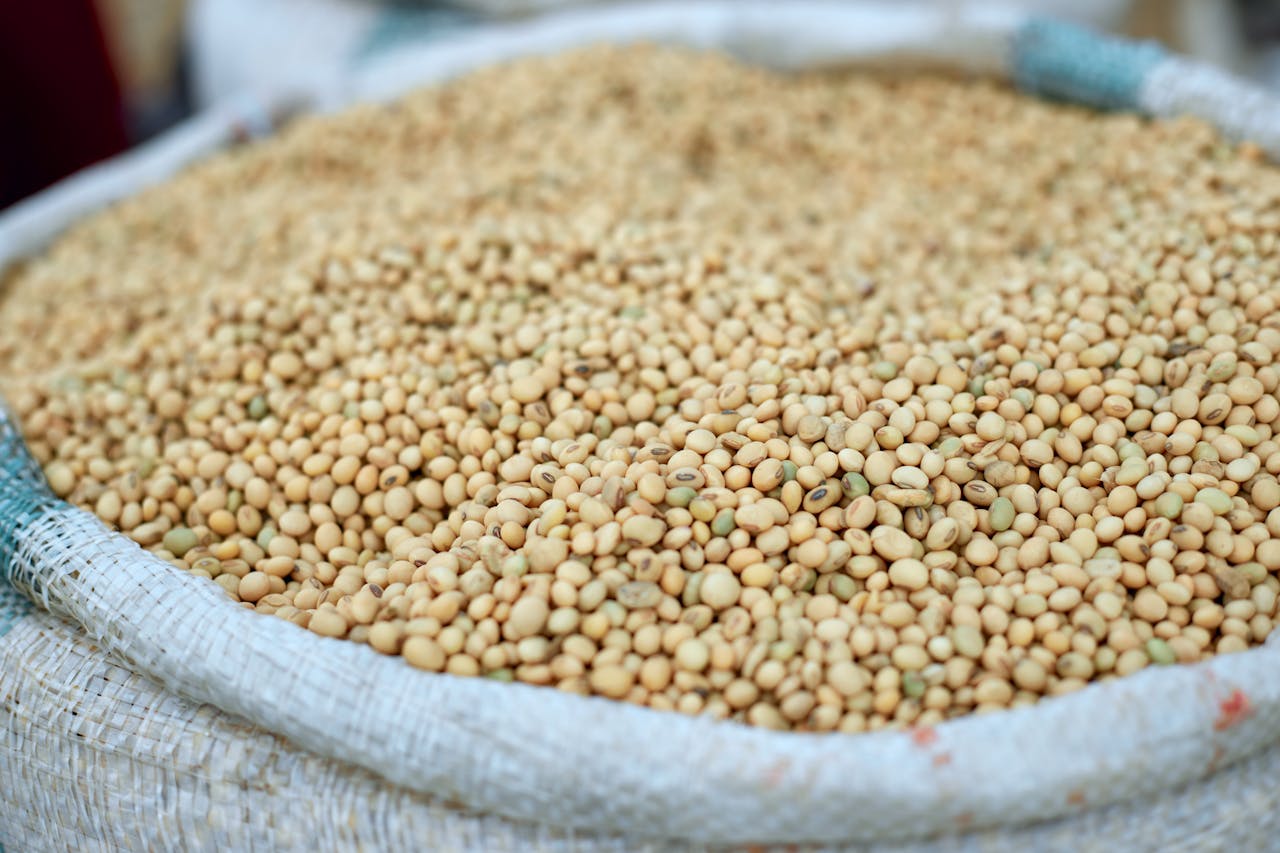 Home Bulk soybeans in a bag for sale at an outdoor market, emphasizing agricultural produce.
